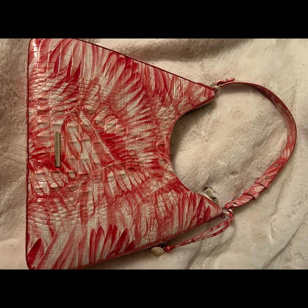 Brahmin Purse